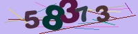 verificare