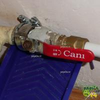 Robinet_apa_1_2_Cani_1018