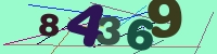 verificare