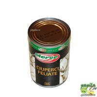 Ciuperci_feliate_Merve_1154